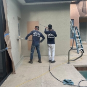 Picture of Exterior Painting in Winter Garden
